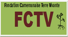 Logo FCTV